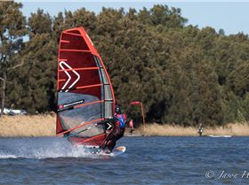 Primbee03082015-1-14