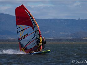 Primbee03082015-1-16