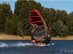 Primbee03082015-1-17