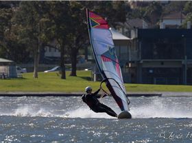 Primbee03082015-1-18