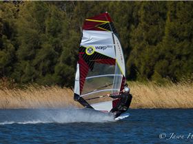 Primbee03082015-1-19