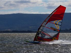 Primbee03082015-1-22