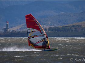 Primbee03082015-1-24