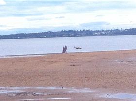 11041143 10200545924968526 2566779767231938954 n