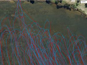 xperia logit and GW52 gybe tracks