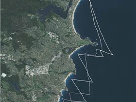 Tracks, Shelly to Little Avalon