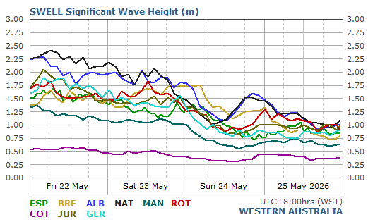 All Live Wave/Swell Report