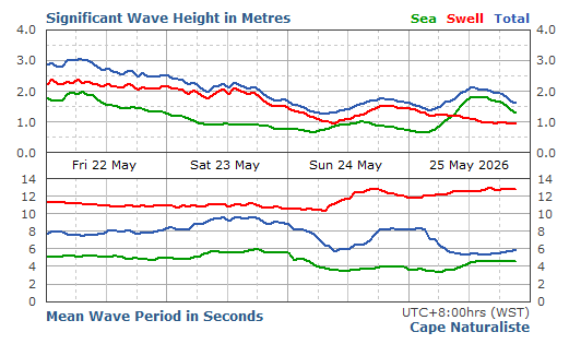 Cape Naturalist Live Swell Report