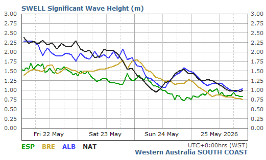 South Coast Live Wave/Swell Report
