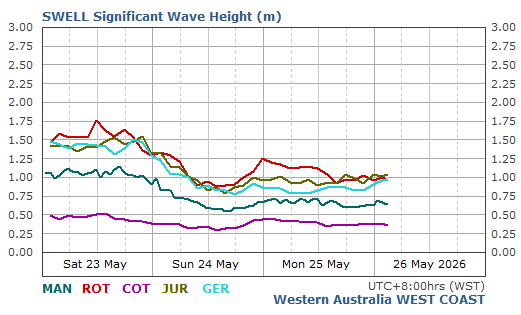 West Coast Live Wave/Swell Report