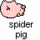 spider pig
