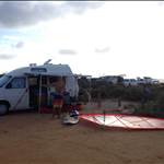 Woody40