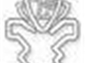 The latest revolution in Windsurfing is here! - Windsurfing News