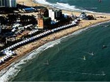 The 2008 Ulsan PWA World Cup - Event Preview - Windsurfing News