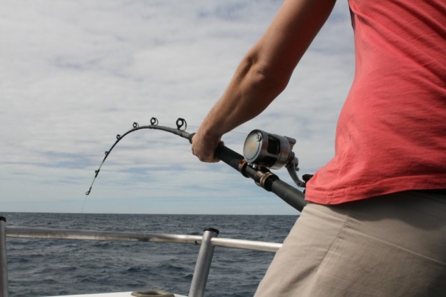 Ajiking Samson-Z in Action