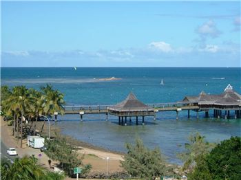 Kitesurfer Killed by Shark in New Caledonia. - Kitesurfing News