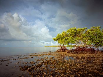 Would you pay $27,000 for a stand up paddle board? - Stand Up Paddle News