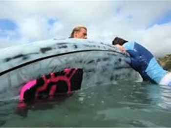 How to rescue someone with your stand up paddle board - Stand Up Paddle News