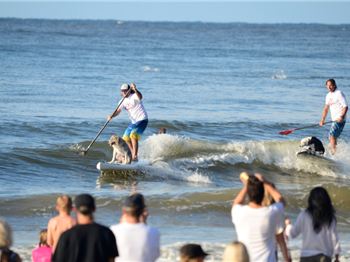 Noosa Festival of Surfing kicks off this weekend - Stand Up Paddle News